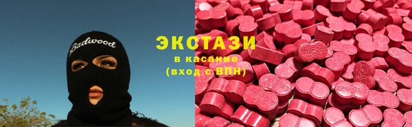 крисы Алексин