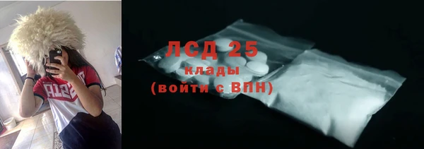 крисы Алексин