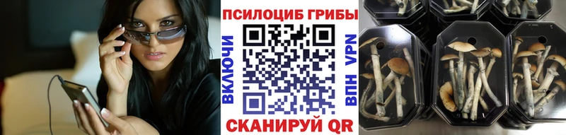 ссылка на мегу ССЫЛКА  Боровичи  Галлюциногенные грибы мицелий 