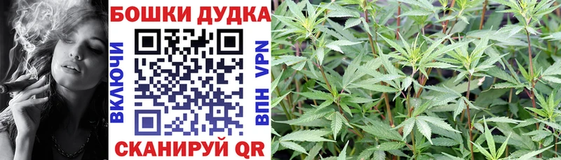 закладки  Боровичи  Каннабис тримм 